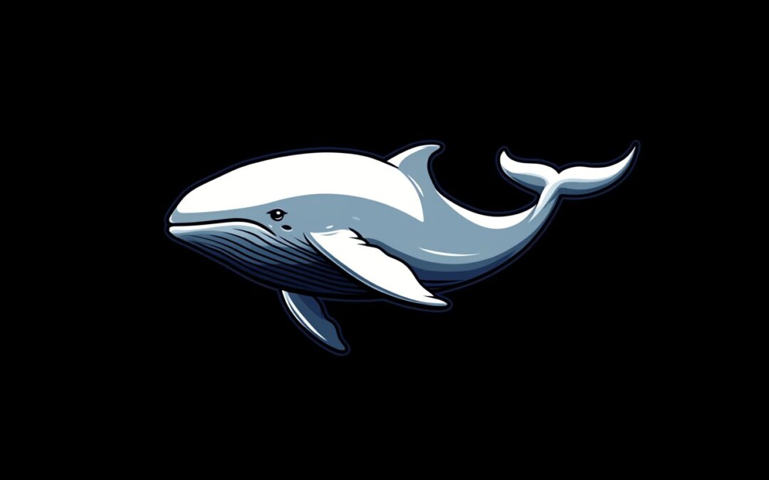 Beluga by Easy Cloud AI